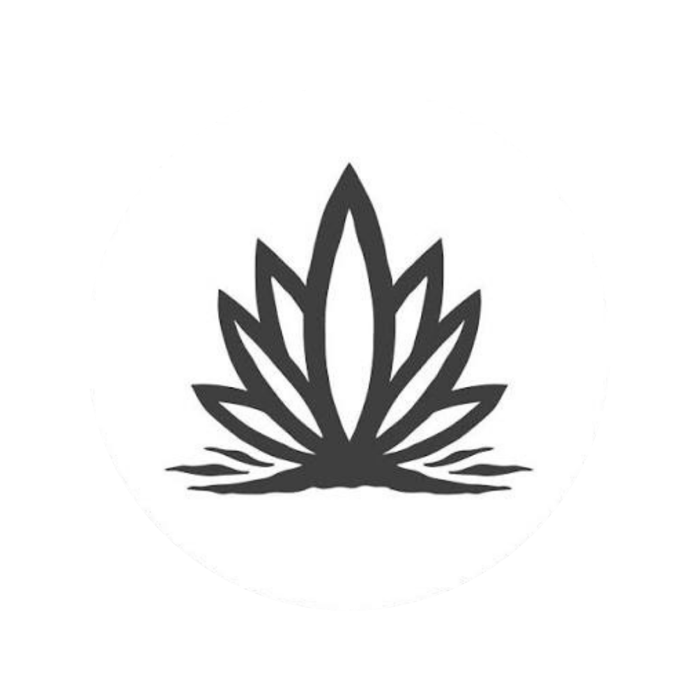 Logo de entre riscos
